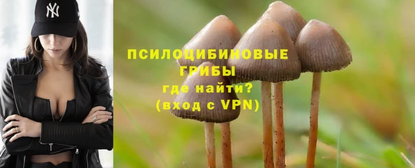 герыч Коряжма
