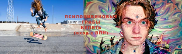 мдпв Кодинск