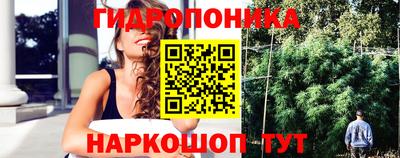 скорость Заводоуковск