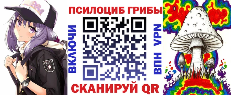 купить закладку  Михайловка  Галлюциногенные грибы MAGIC MUSHROOMS 