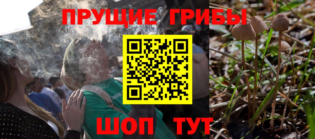 Михайловка  Галлюциногенные грибы GOLDEN TEACHER  Вход с VPN 