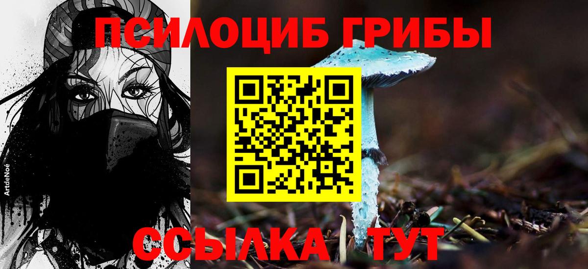 Галлюциногенные грибы Psilocybine cubensis Михайловка